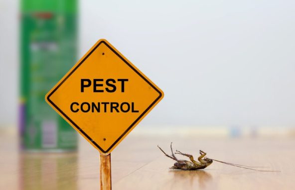 what_is_pest_control-9223137-1024x682